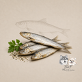 Sprats séchés – Friandises naturelles riches en oméga 3