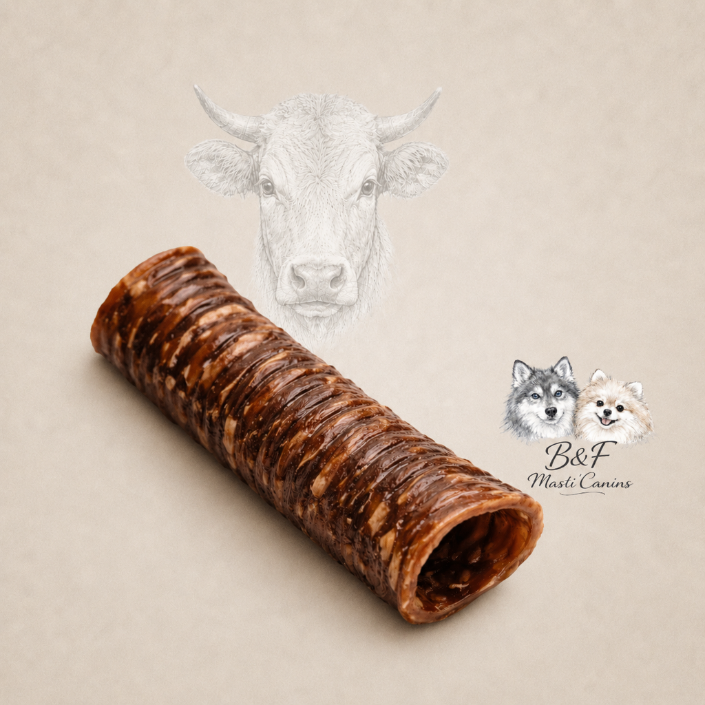 Trachée de bœuf - Mastication gourmande naturelle (lot de 2)