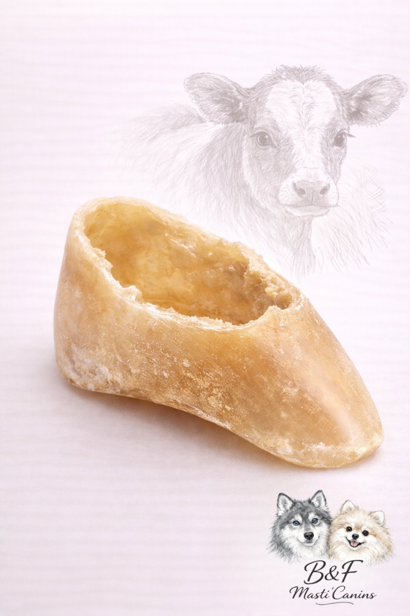 Sabot de veau – Mastication naturelle très longue durée