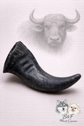 Corne de buffle – Mastication naturelle très longue durée