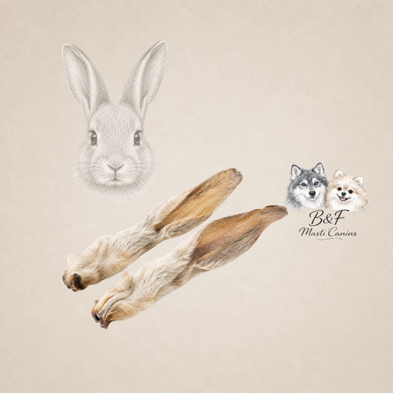 Oreilles de lapin x2 - Mastication gourmande